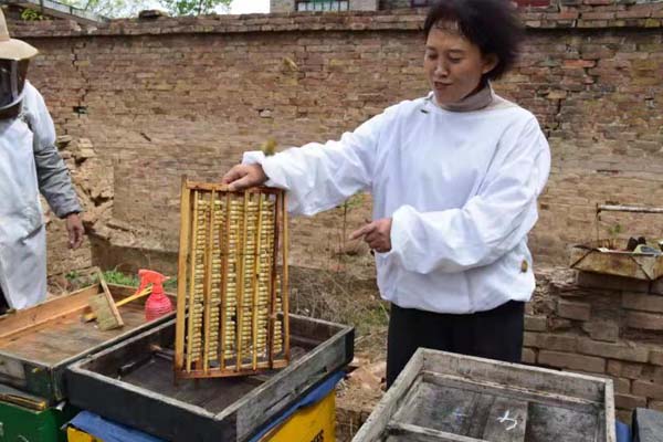 蜂场风采